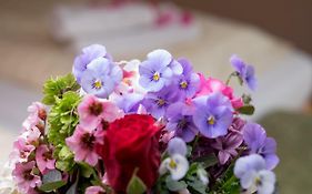 Landhaus&Landhof Gabriel